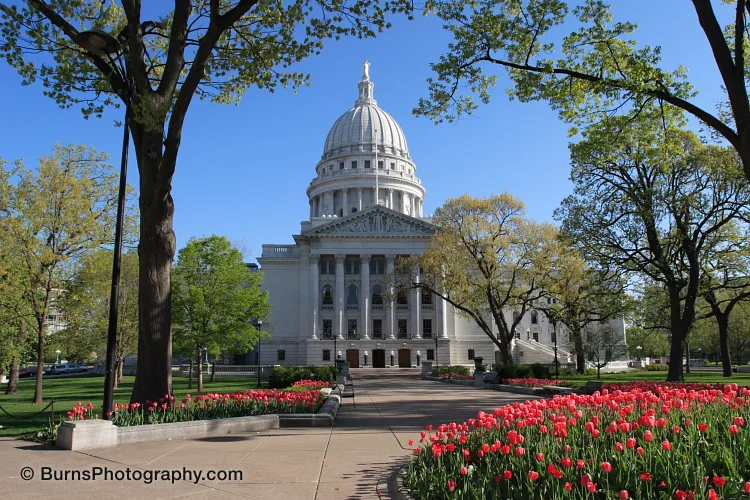 Wisconsin State Capitol dome seen down a walkway lined with red tulips and leafing trees